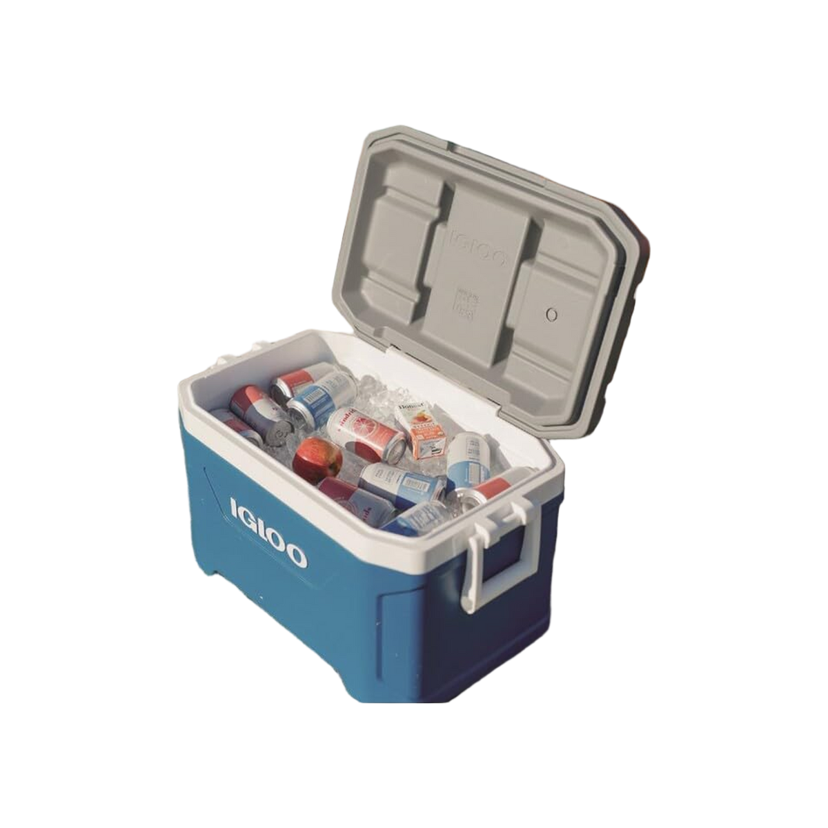 Igloo Latitude 52QT