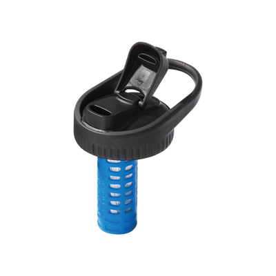 MSR DayCap In-Bottle Filter