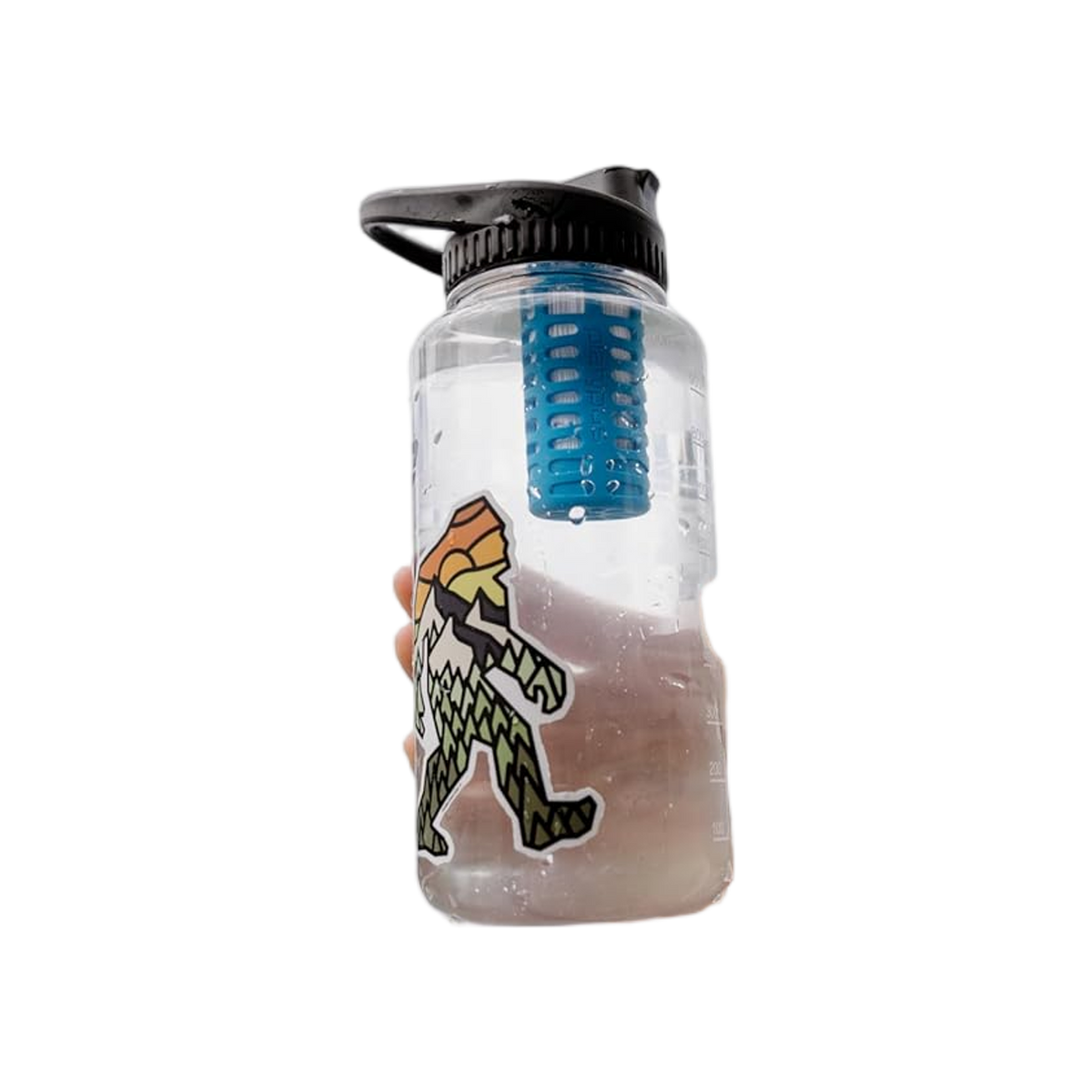 MSR DayCap In-Bottle Filter