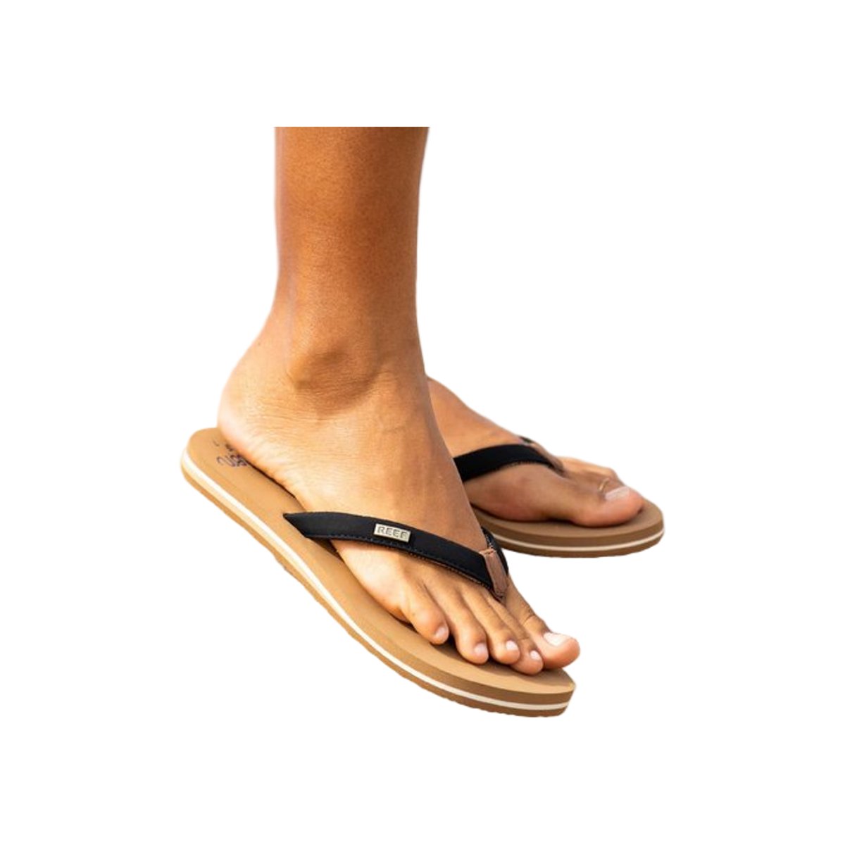 Reef Cushion Sands
