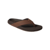 Reef The Raglan
