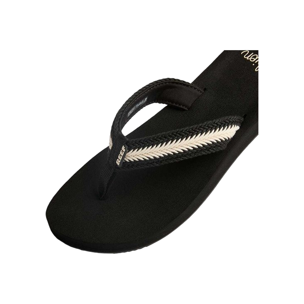 Reef Baja Maria