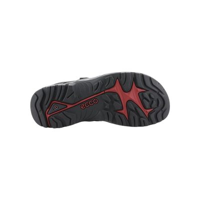 Ecco Offroad Andes II M