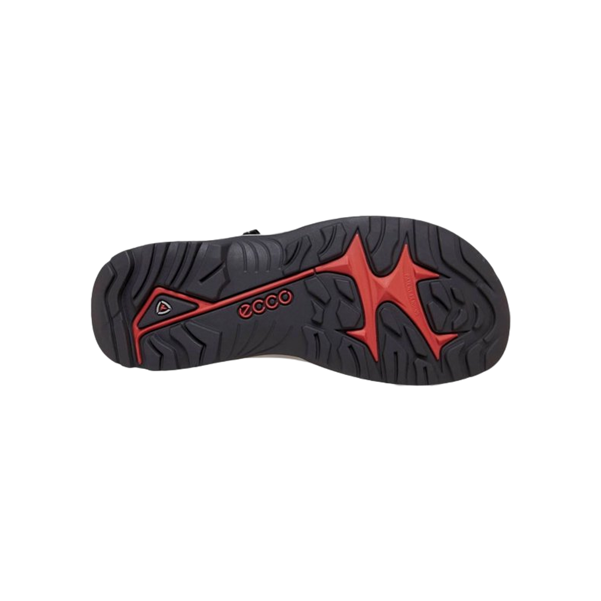Ecco Offroad Andes II M