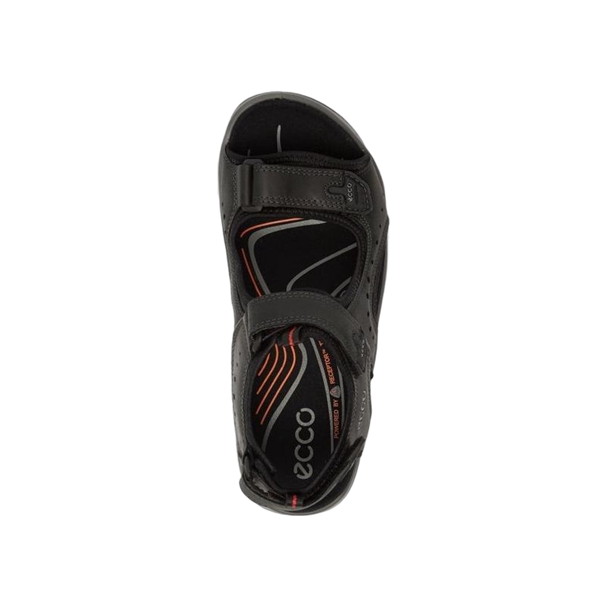 Ecco Offroad Andes II M