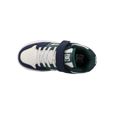 DC Shoes Manteca 4 V