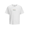 JREBHAYDEN RELAXED SS TEE — Aqua Gray