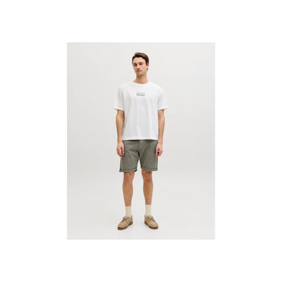 JREBHAYDEN RELAXED SS TEE — Aqua Gray