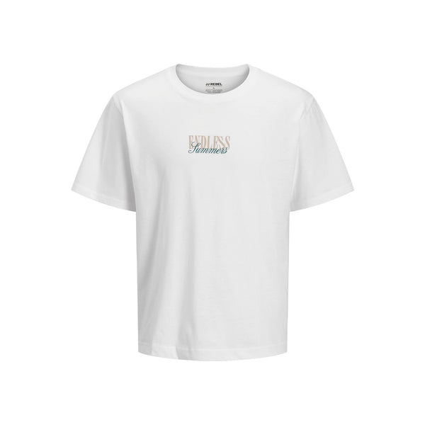 JREBHAYDEN RELAXED SS TEE — Aqua Gray