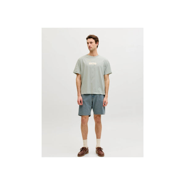 JREBHAYDEN RELAXED SS TEE — Aqua Gray