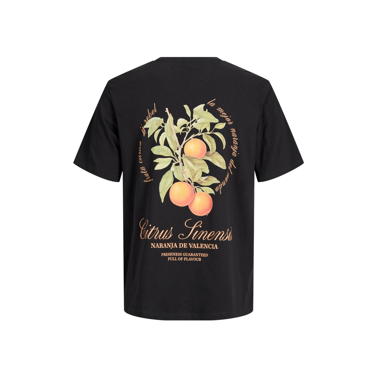 JREBAARON SS TEE — Cashmere Blue