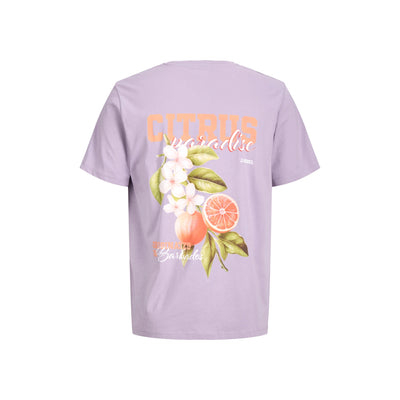 JREBAARON SS TEE — Cashmere Blue
