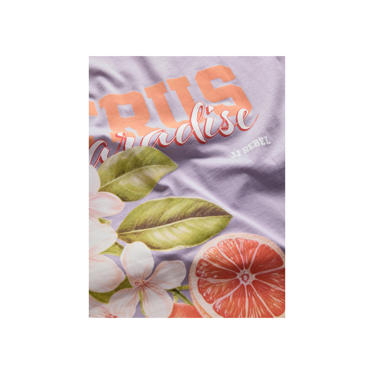 JREBAARON SS TEE — Cashmere Blue
