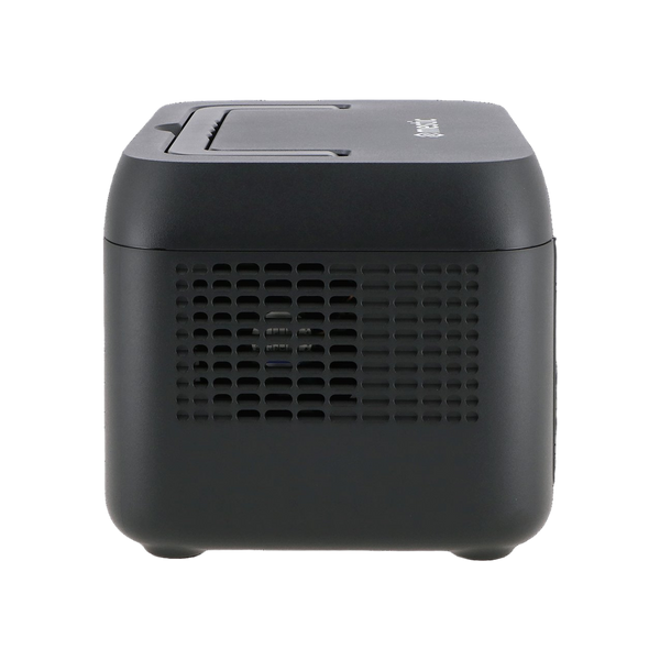 Mestic Power Station MPS-600