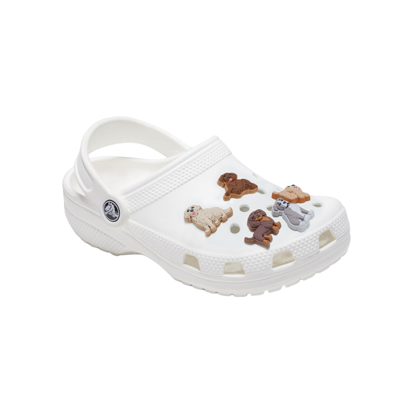 Crocs Doggie Doodle 5 Pack