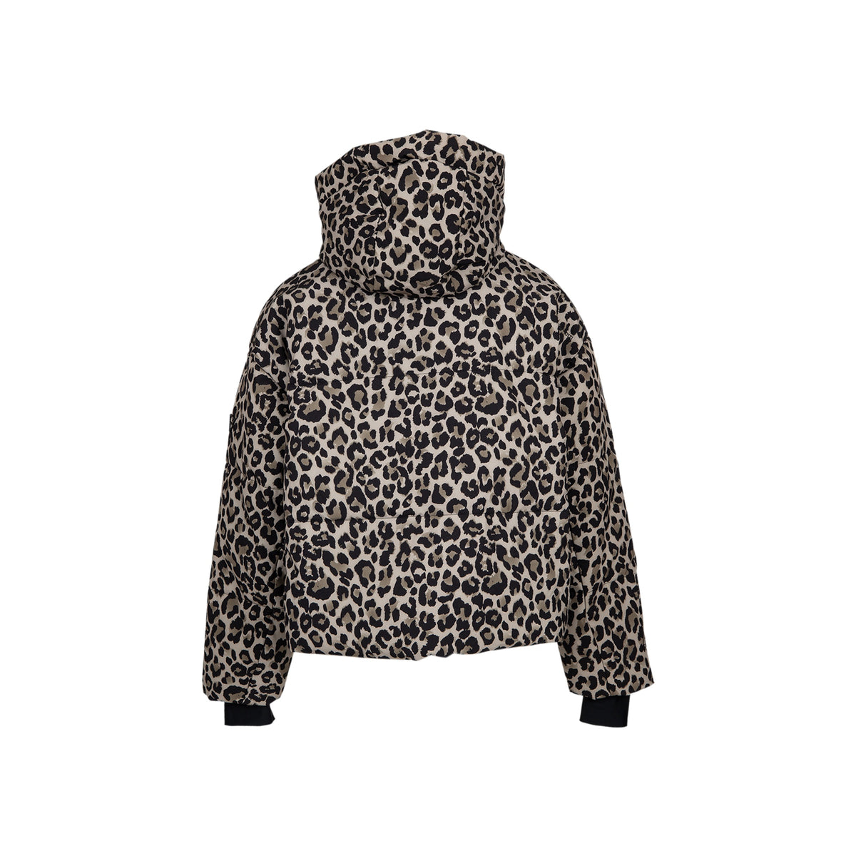 Brunotti Fiaskia-Print Women's Ski Jacket