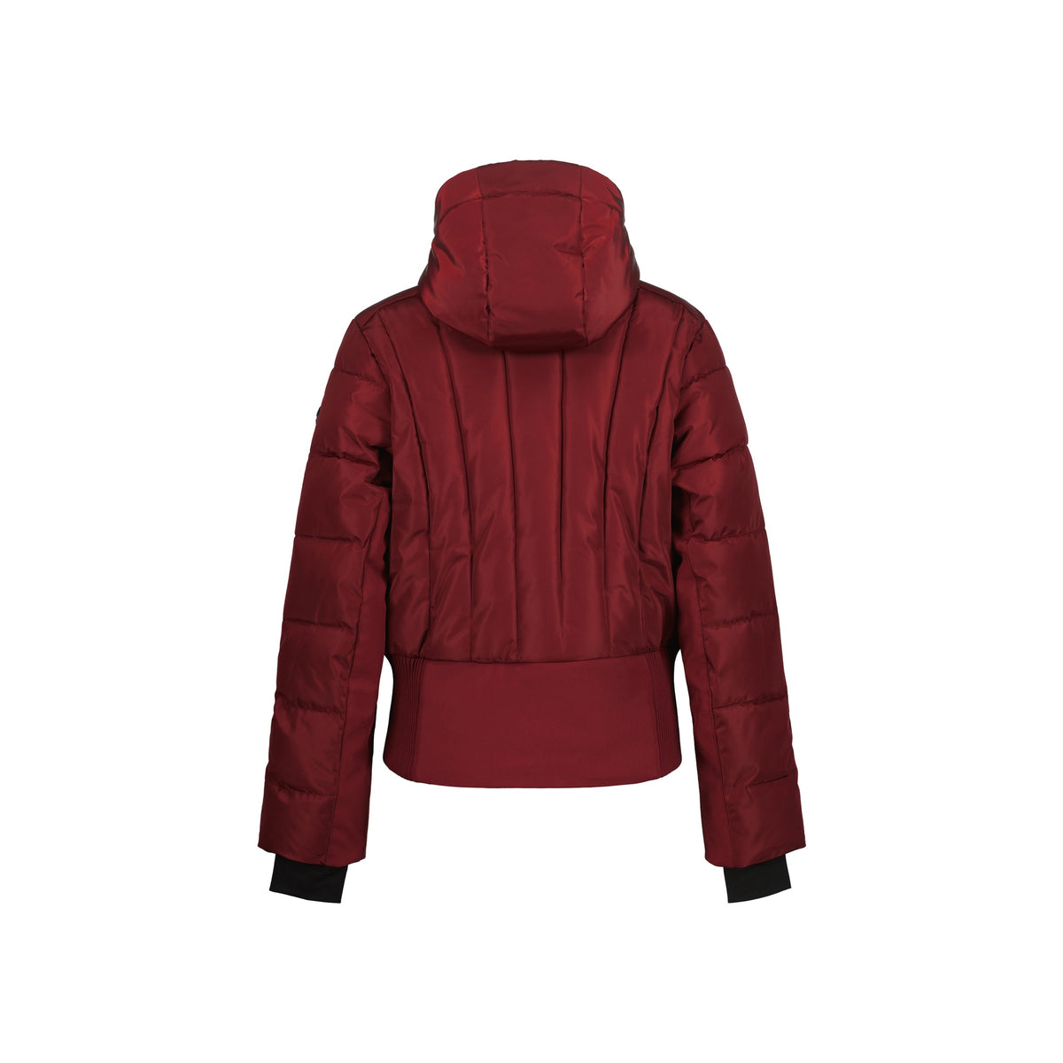 Bordeauxrode korte gewatteerde winterjas met capuchon en elastische boord, achterkant