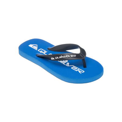 Quiksilver Java Wordmarkyt