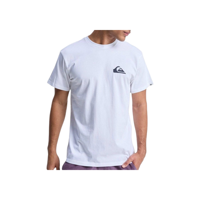 Quiksilver Ev Mini Logo