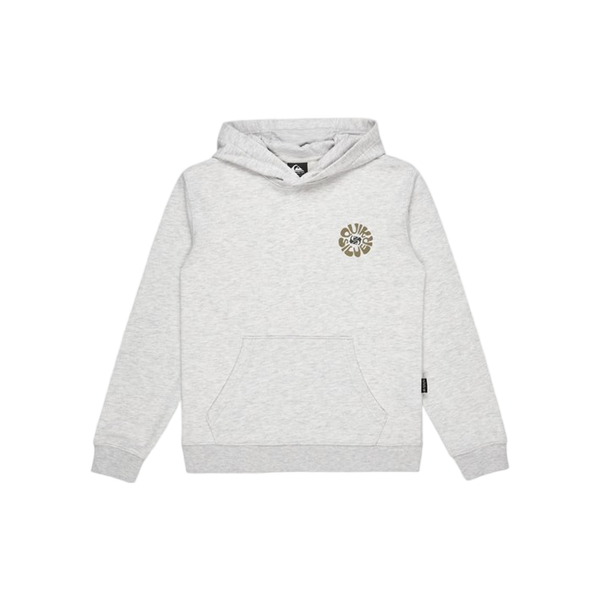 Quiksilver Graphic Hoodie Youth