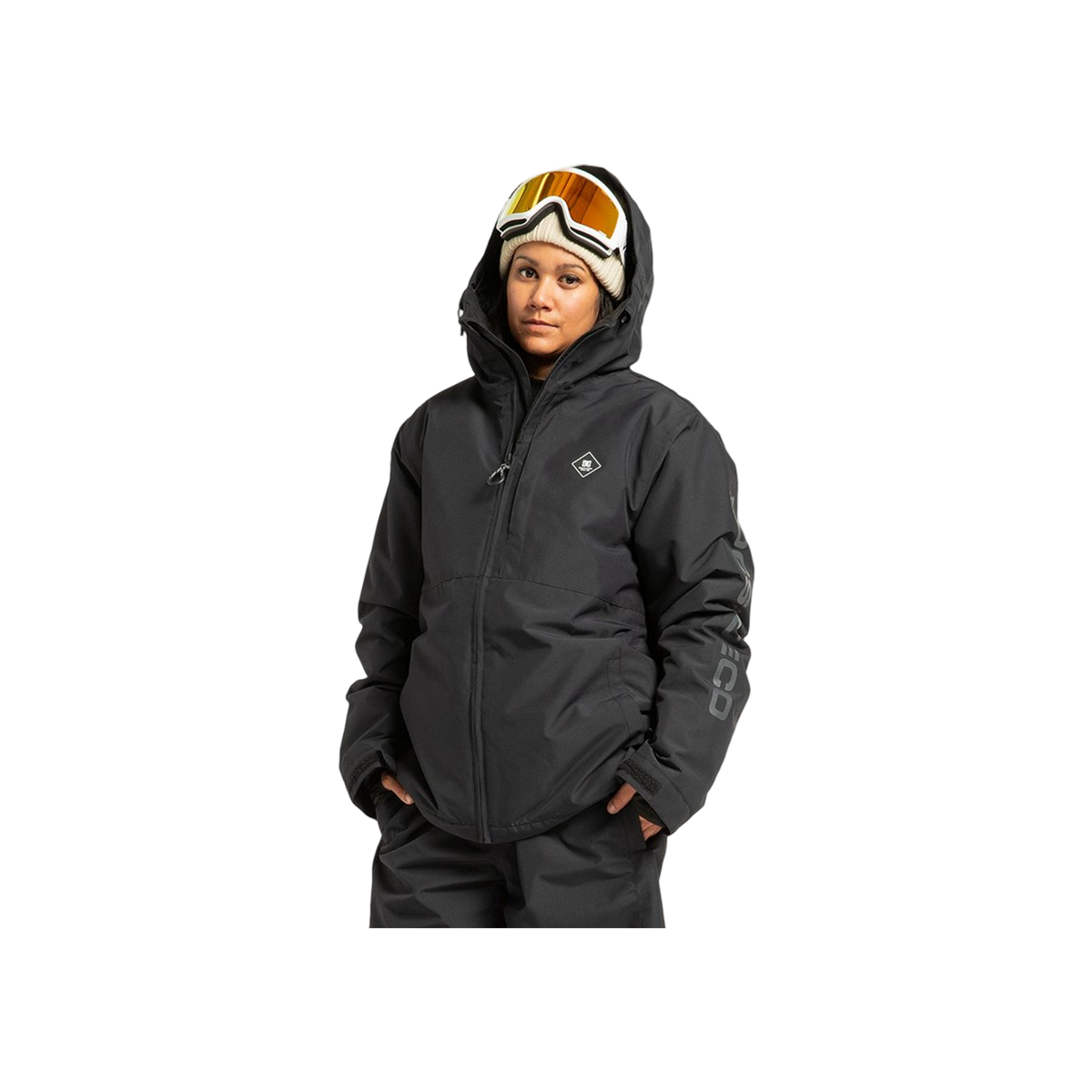 DC Shoes Basis