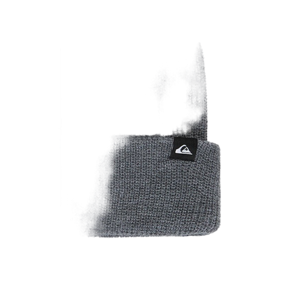 Quiksilver Performer Beanie