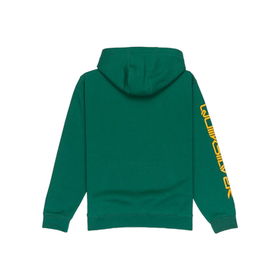 Quiksilver Omni logo hood yth