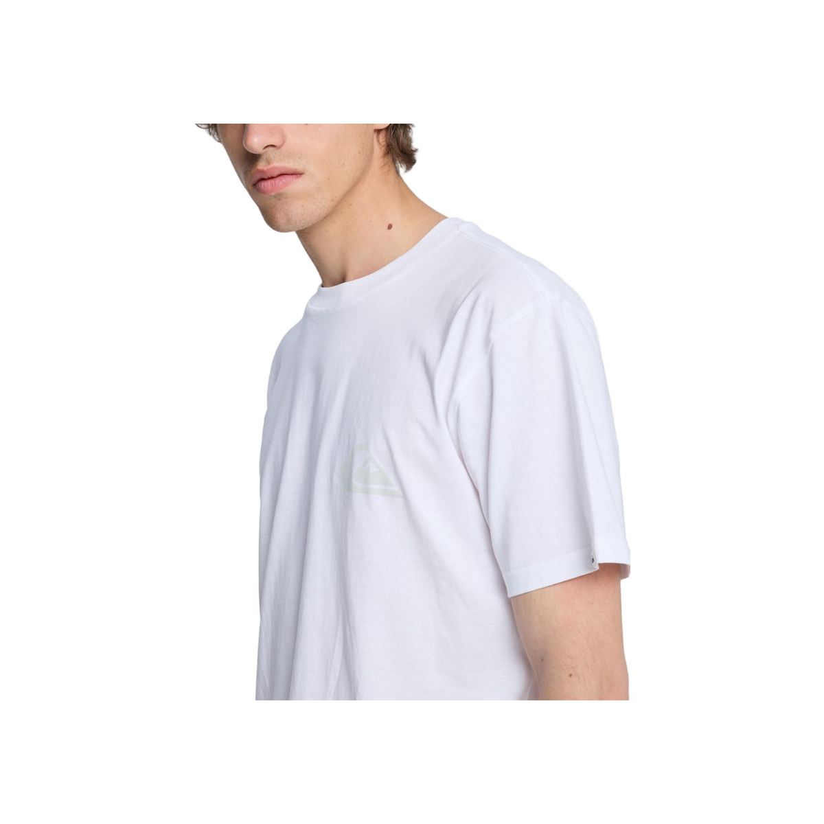 Quiksilver Ev Mini Logo Ss