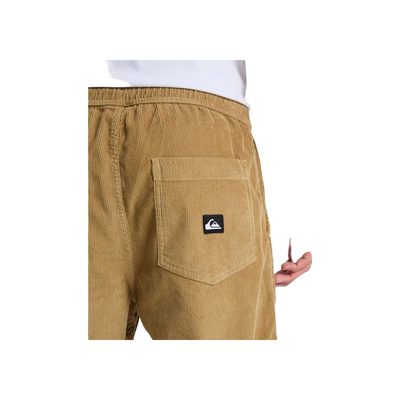 Quiksilver Taxercord pants