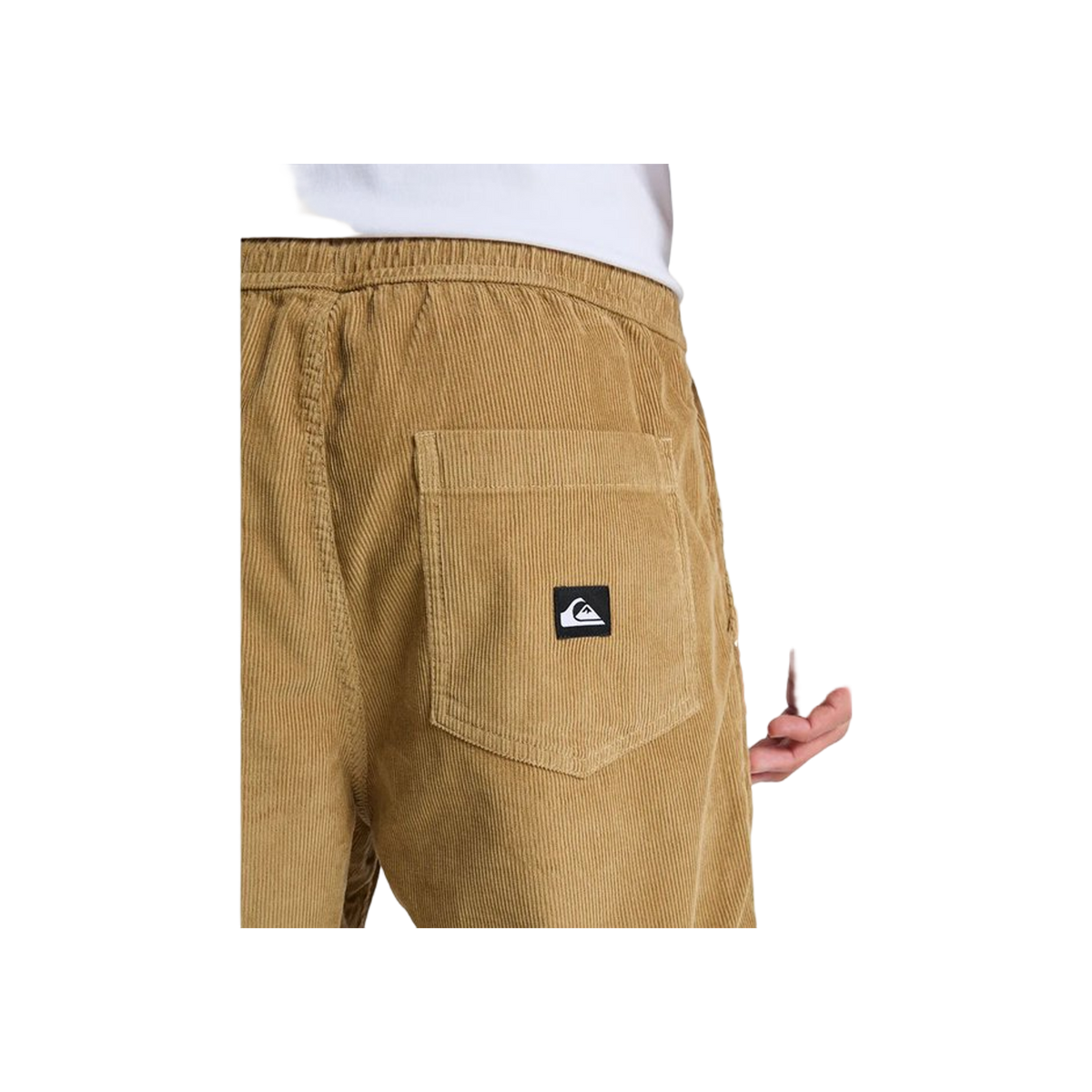 Quiksilver Taxercord pants