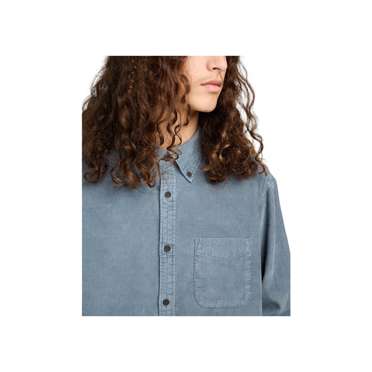 Element Button Down Reg