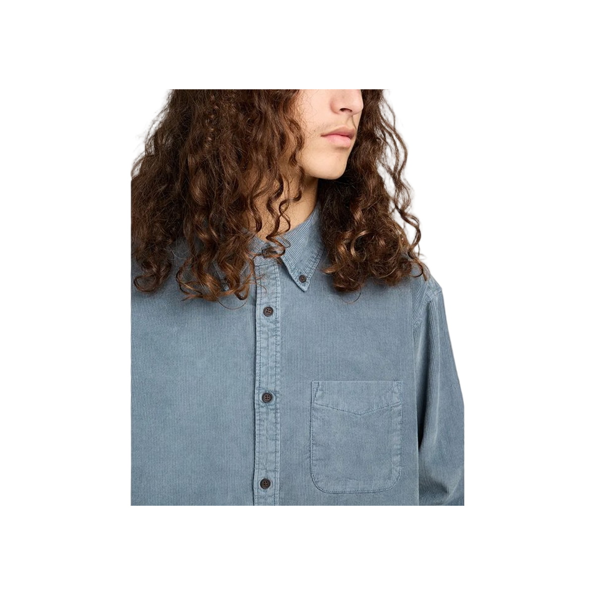 Element Button Down Reg