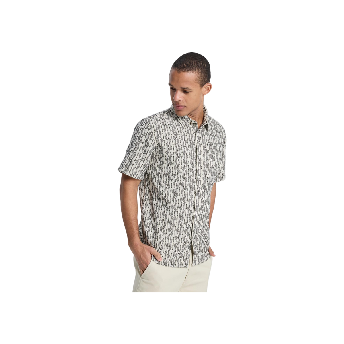 Quiksilver Horizons