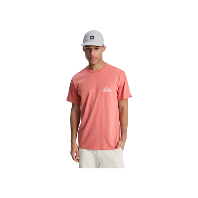 Quiksilver Ev Mini Logo Ss