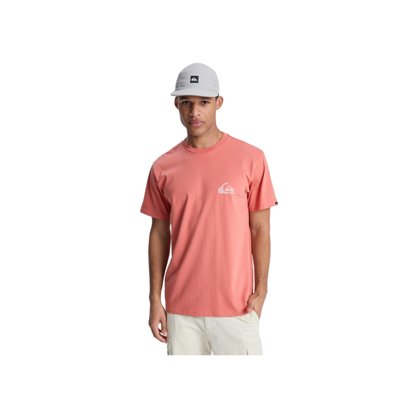 Quiksilver Ev Mini Logo Ss