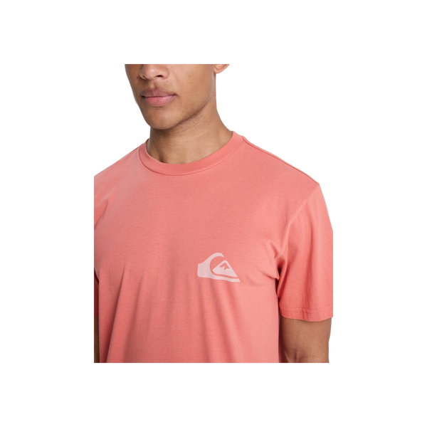 Quiksilver Ev Mini Logo SS T-Shirt