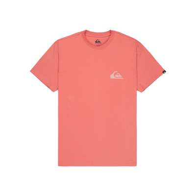 Quiksilver Ev Mini Logo SS T-Shirt