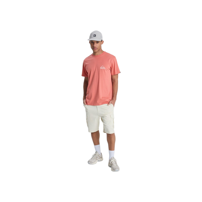 Quiksilver Ev Mini Logo Ss