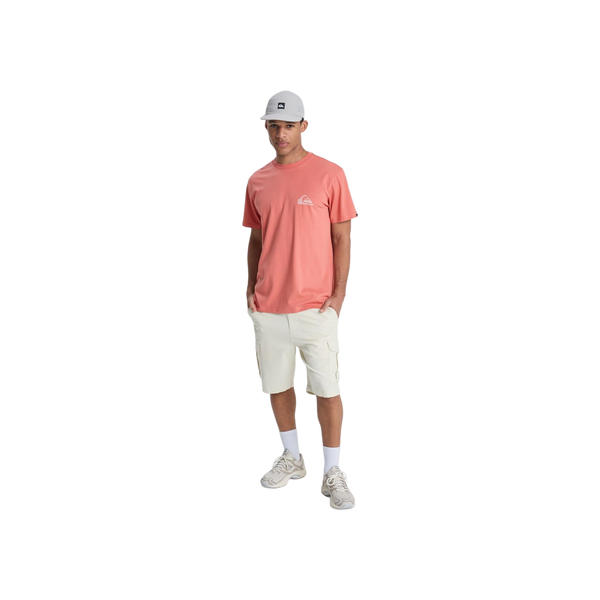 Quiksilver Ev Mini Logo Ss