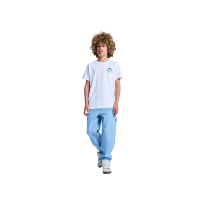 DC Shoes Shape Or Destroy