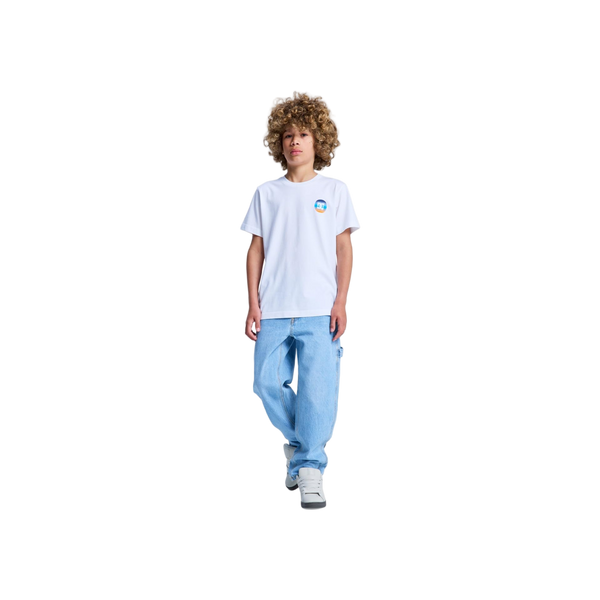 DC Shoes Shape Or Destroy