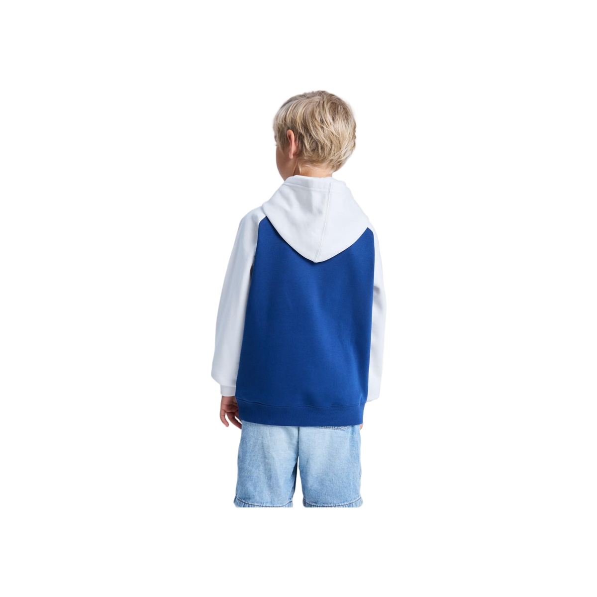 DC Shoes Corpo Raglan