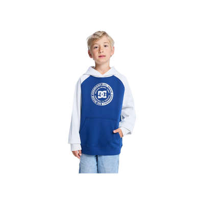 DC Shoes Corpo Raglan