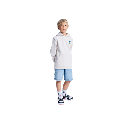 DC Shoes Shape Destroy