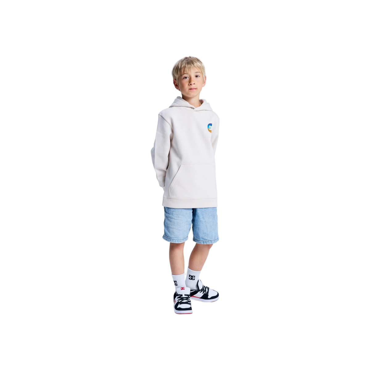DC Shoes Shape Destroy