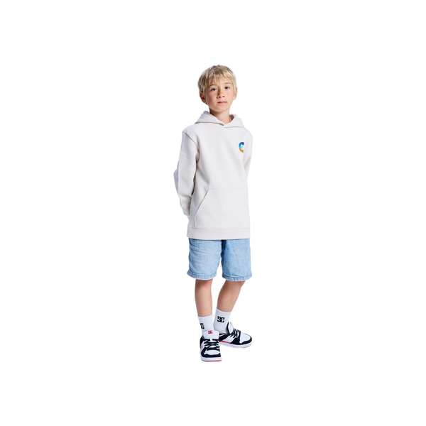 DC Shoes Shape Destroy