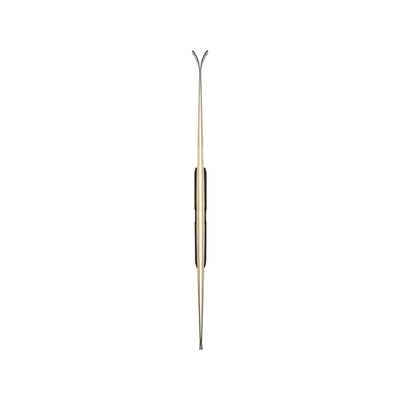 Elan ACE SCX FX 80-YEARS FUSION