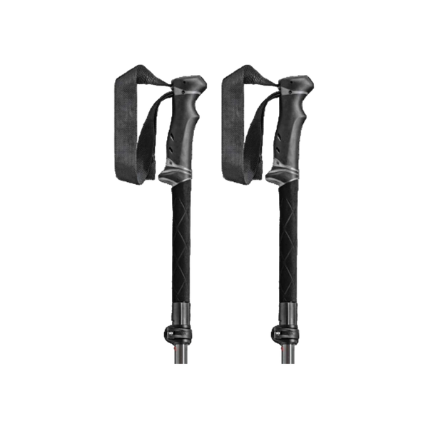 Leki Legacy FX TA Nordic Wandelstokken