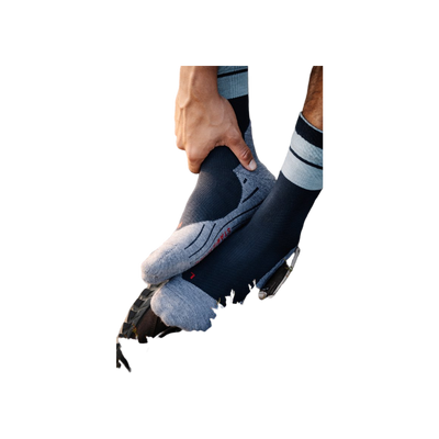 FALKE TK Compression Stabilizing M