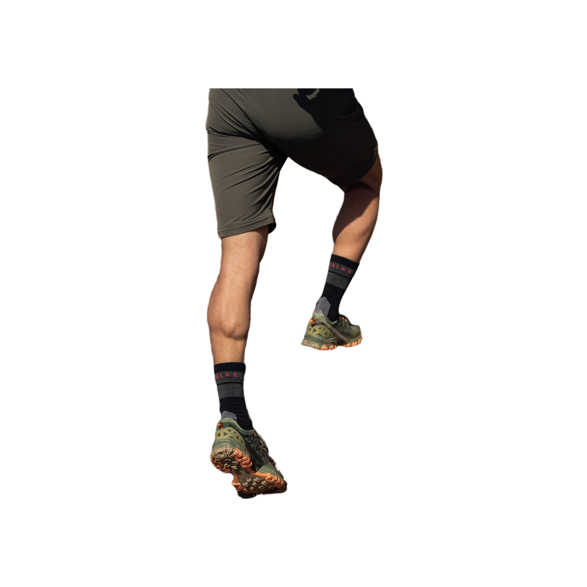 FALKE TK Compression Stabilizing M